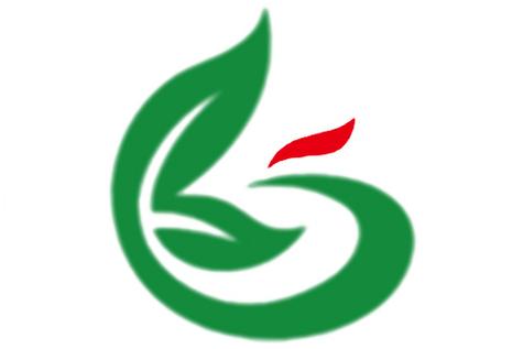 張毅濤 以網絡技術服務驅動企業營銷新增長